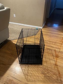 dog crate
