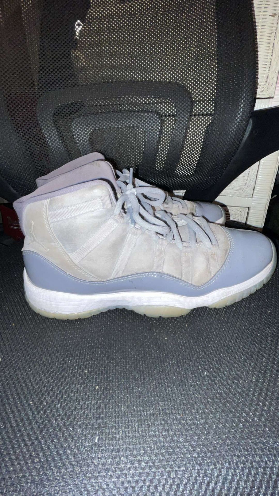 Jordan 11 Retro Cool Gray (2021)