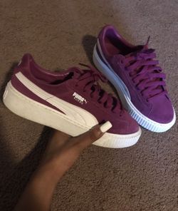 Purple Puma 