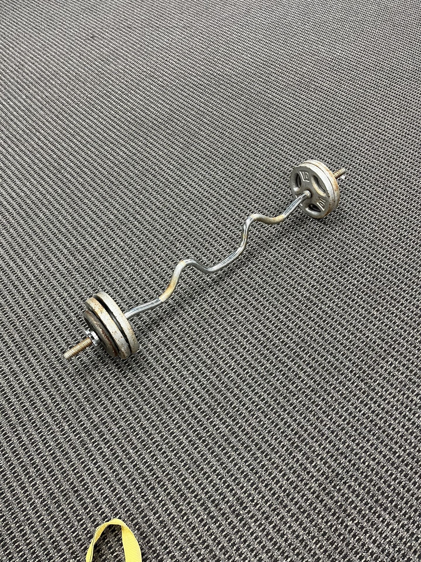 Curl Barbell With 50 Pounds Of Weight Plates / Curling 50 Lbs