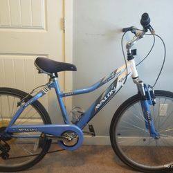 Adult Comfort Bike
