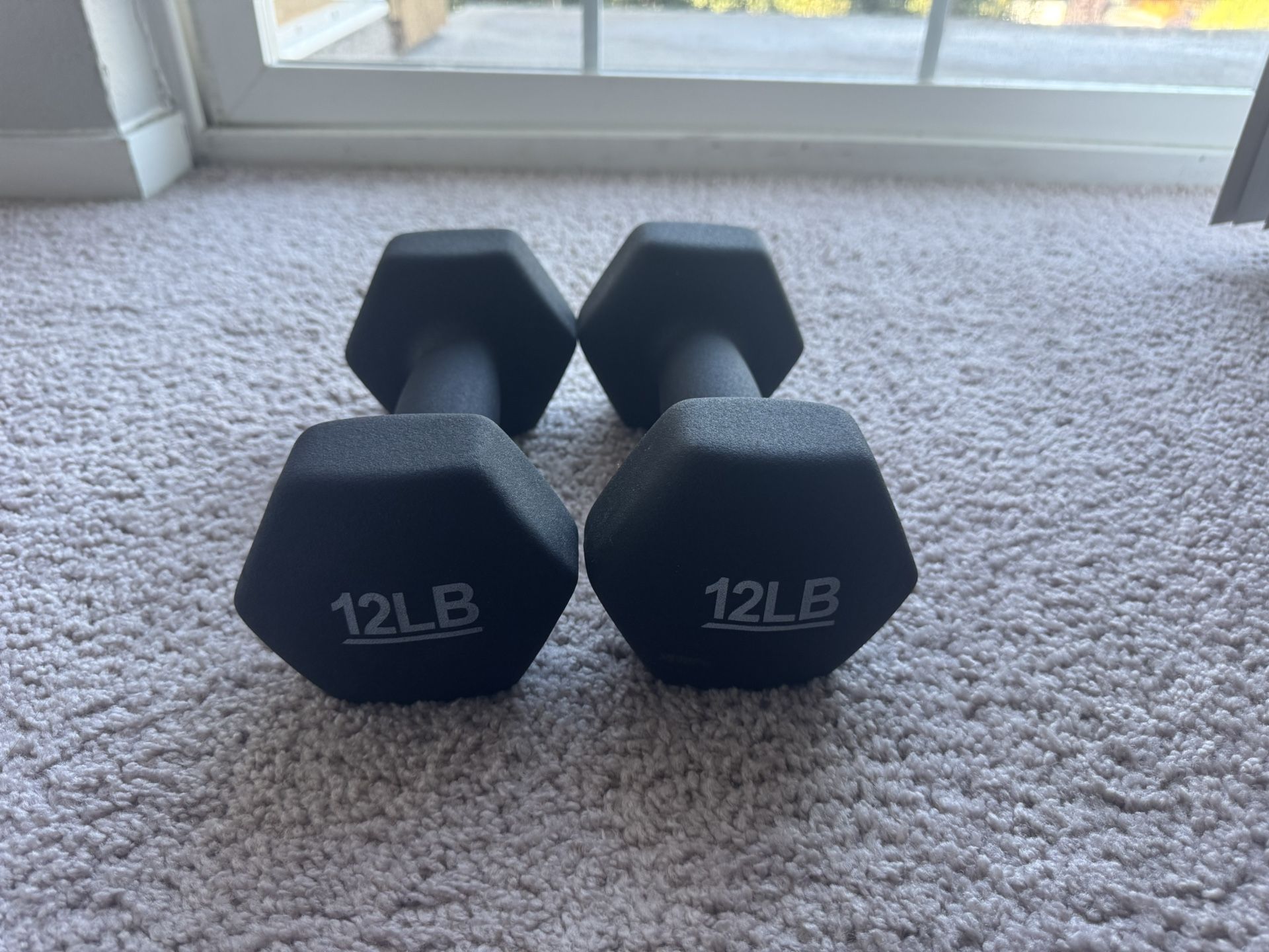 12lb Dumbbells