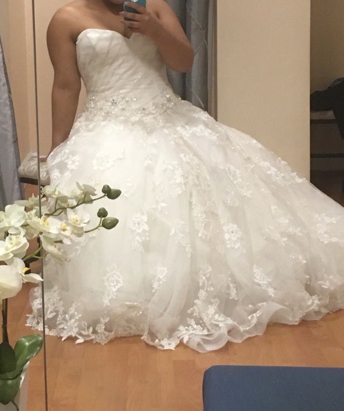 Beautiful Lace corset wedding dress and matching Veil