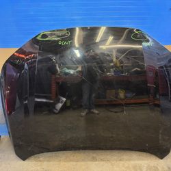 Accord 2023 2024 2025 2026 Hood