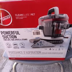 CLEANSLATE PET, Carpet & Upholstery Spot Cleaner.