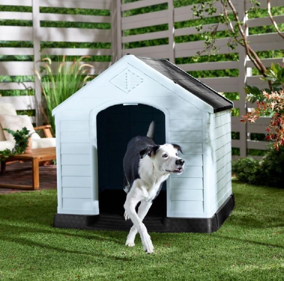Large Dog House