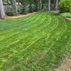 Lucky Lawn Service 