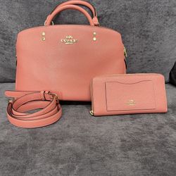 Coach And Michael Kors Handbags 