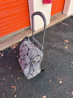 Rolling Shopping Cart Tote Bag on Wheels