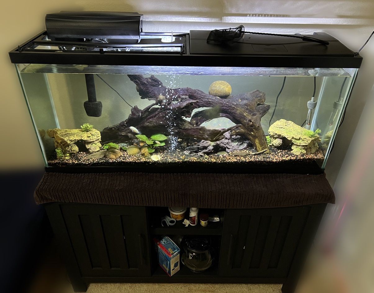 70 Gallon Aquarium Tank with Stand