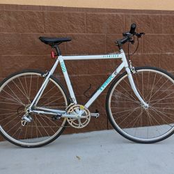 Trek 1200 Custom Commuter Bike
