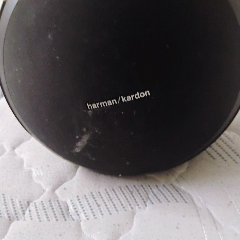 Speaker