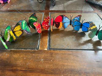 Butterfly plant sticks