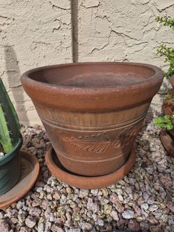 Different size Terracotta Pots
