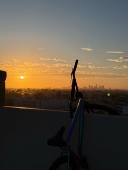 Throne neo chrome oil slick 29er
