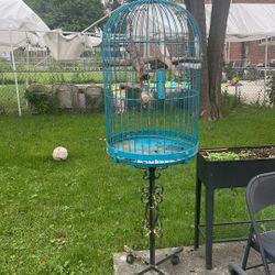 Big Bird Cage 
