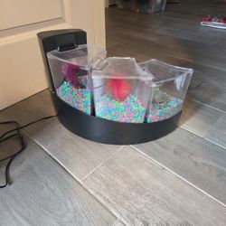 Curved Betta Fish Tank