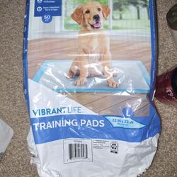 Training Puppy Pads Large 22inx22in