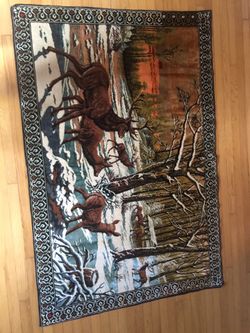 Rug / wall hanging 4x6 great condition.