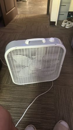 Fan