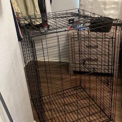 Dog Kennel 