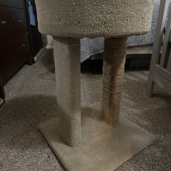 Never Used Cat Tower
