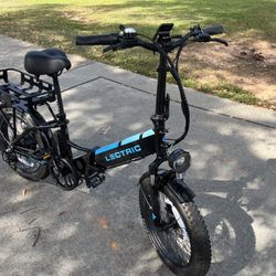 E-bike And Worksman Trike