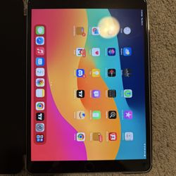 Ipad Pro 10.2inch 64gb