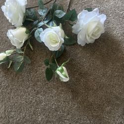 White Roses with long stem