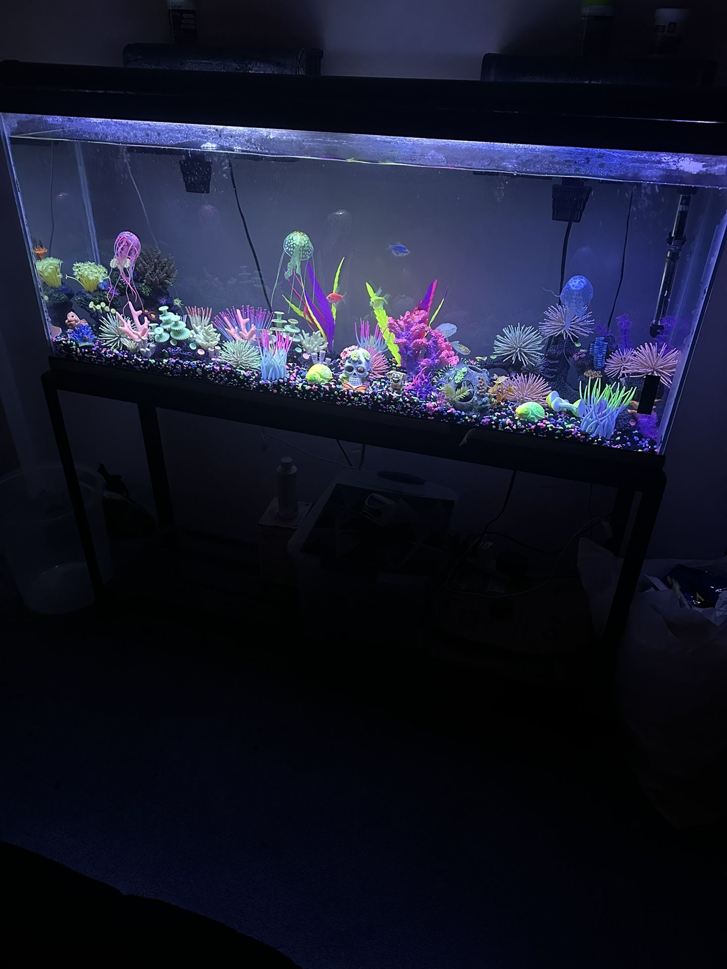 Fish Tank