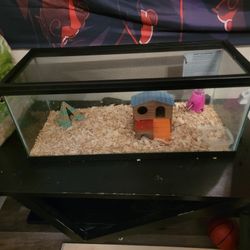 Tank