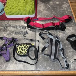Leaches And Harness 