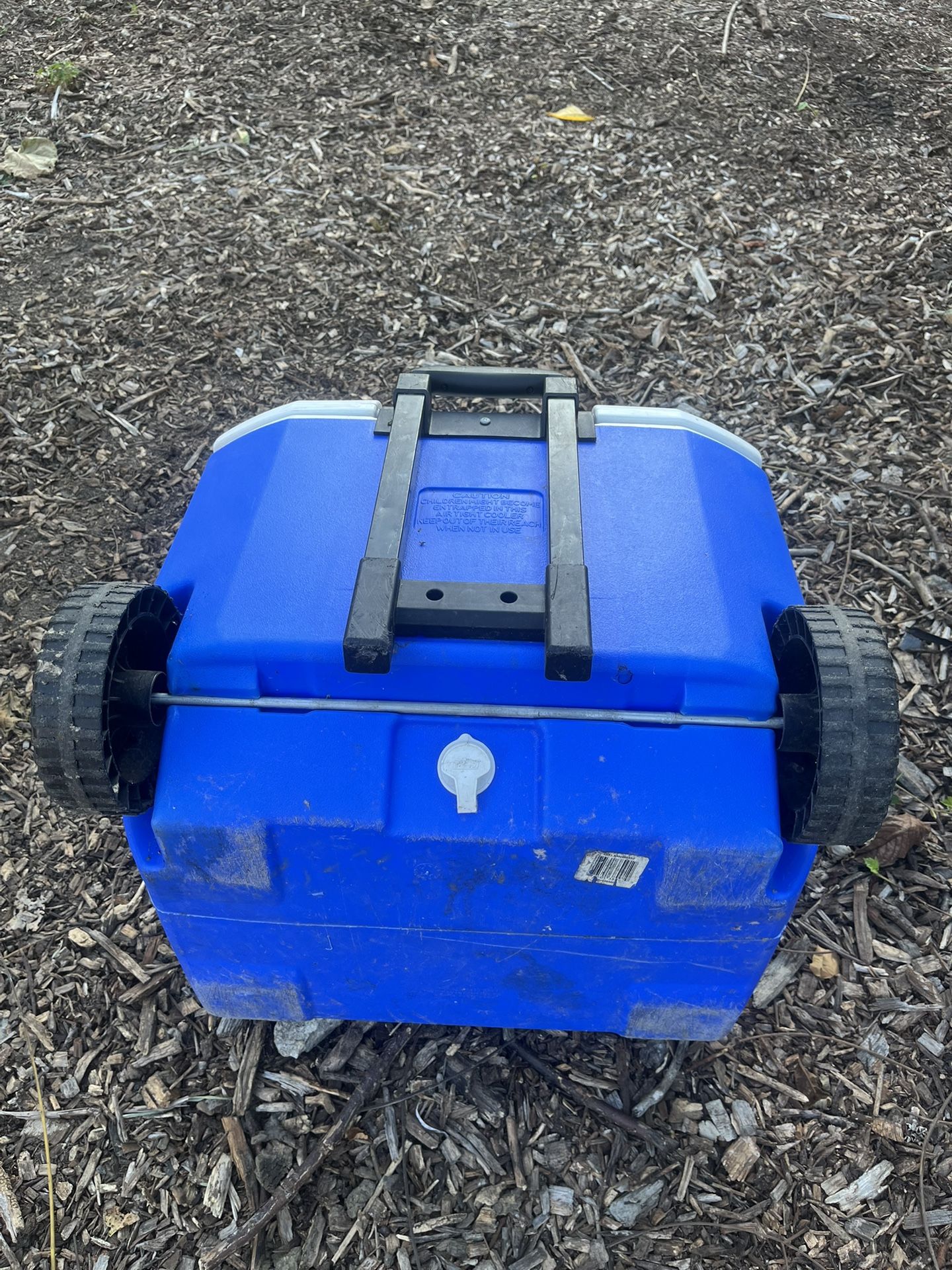 Coleman Cooler
