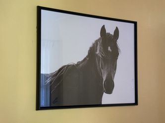 Framed Horse artwork - black Frame With Glass