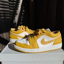 Jordan 1 retro “pollen” 10M Worn 2x 