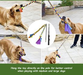 RETRACTABLE DOG FLIRT POLE