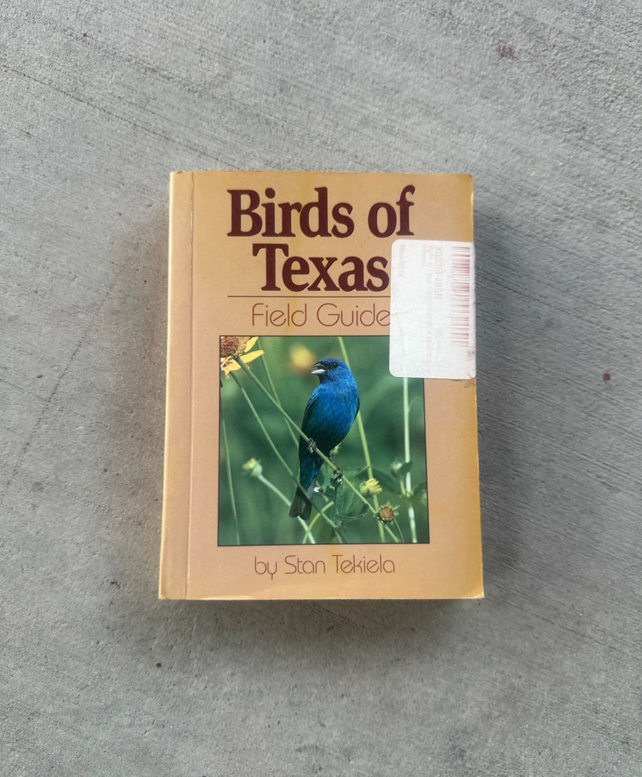 Birds of Texas Field Guide by Stan Tekiela