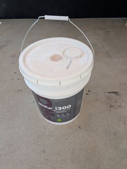 Beautiful light Dusty rose color eggshell interior brand new 5 gallon by bear