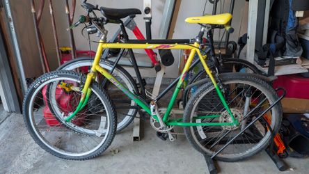 Vintage Peugeot bicycle