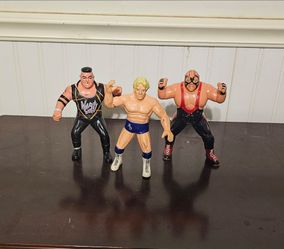Wcw action figures ric Flair jerry saggs big van vader