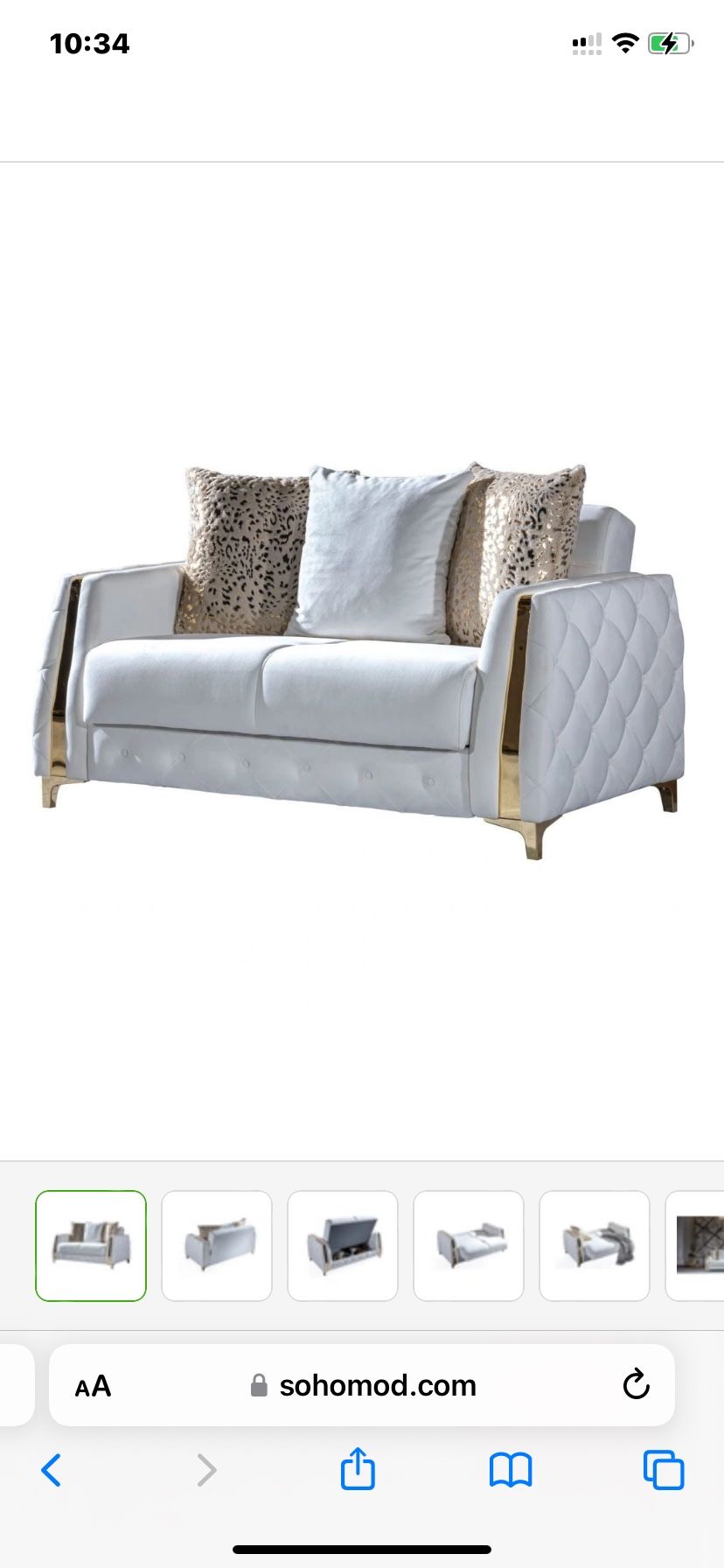 Sleeper Sofa Loveseat