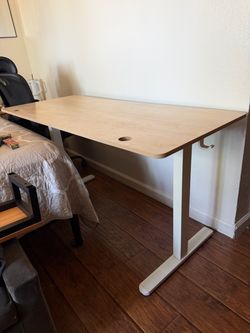 Standing Desk with Wood Top and White Frame