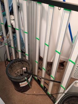 Hydroponic system