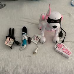 Smart Dog With Remote, And Straighter, And Round Brush