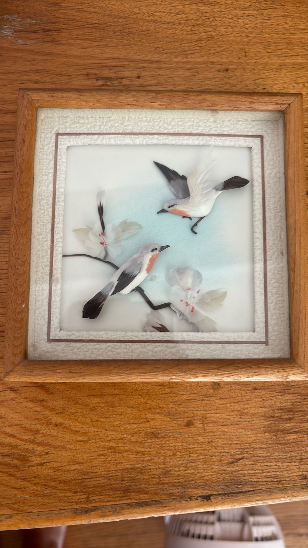 Vintage 1970's Framed 3D Bird Art Wall Decor