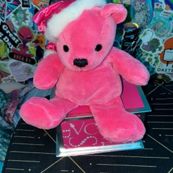 Limited Edition Victoria Secret Plush Bear 