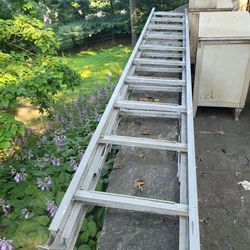 Ladder - 18 Feet