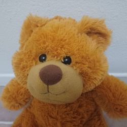 The Petting Zoo - Teddy Bear