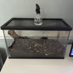 10 Gallon Aquarium