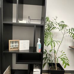 Decorative Shelving Unit/ Book Shelf 